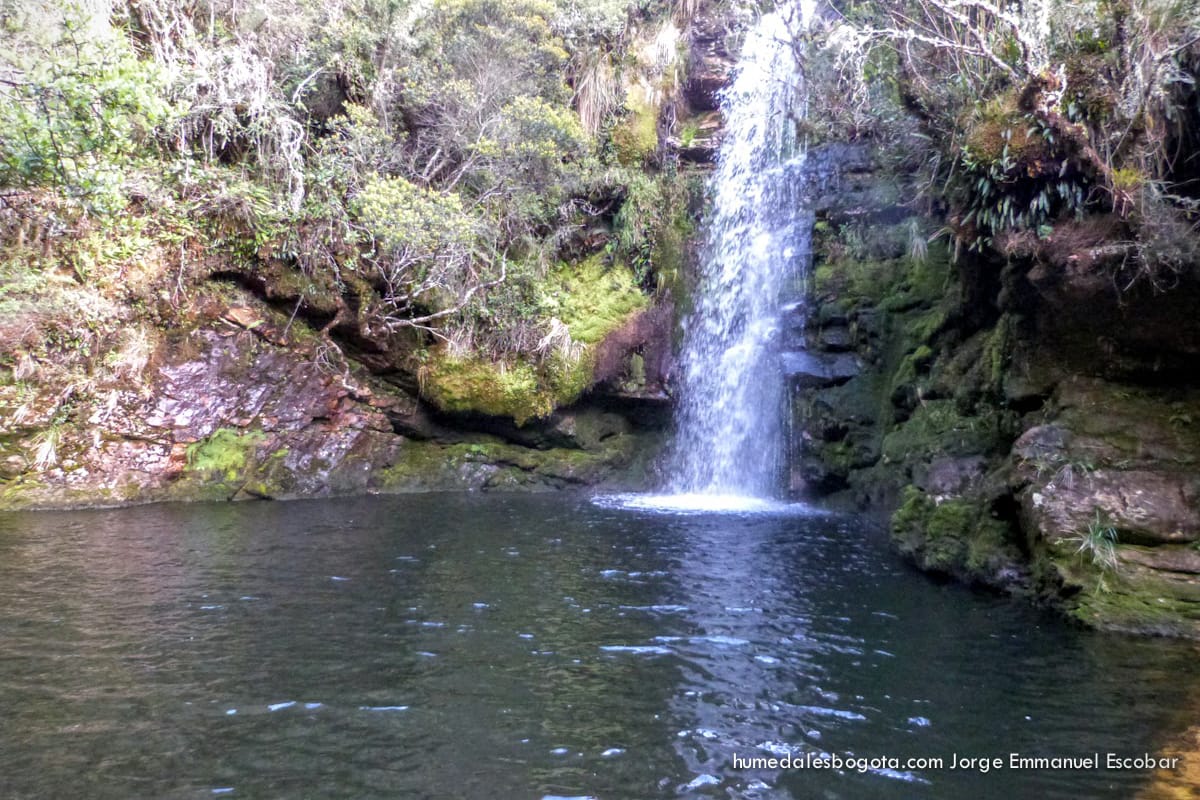 Salto de la nutria, páramo de Guacheneque