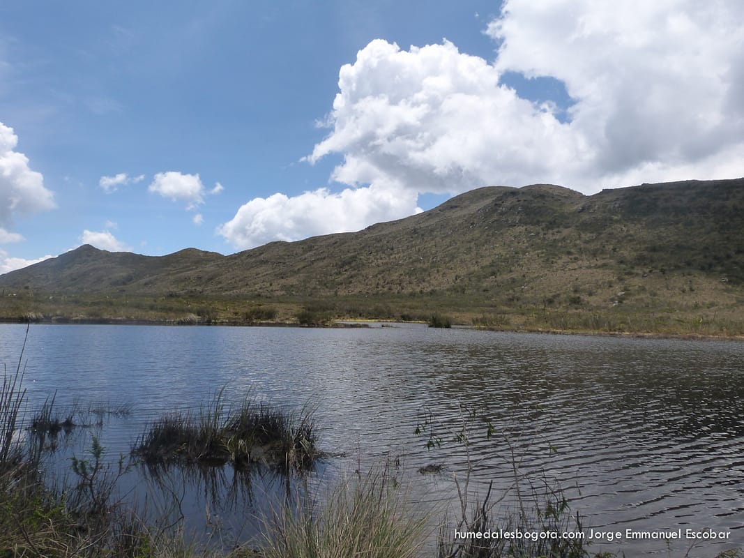 Laguna de Teusacá o Laguna El Verjón, Páramo El Verjón (Matarredonda)