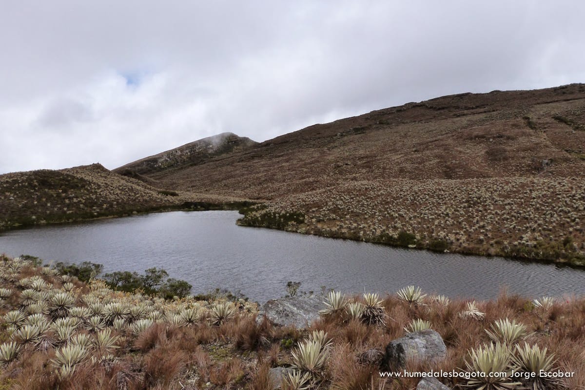 Páramo de Sumapaz