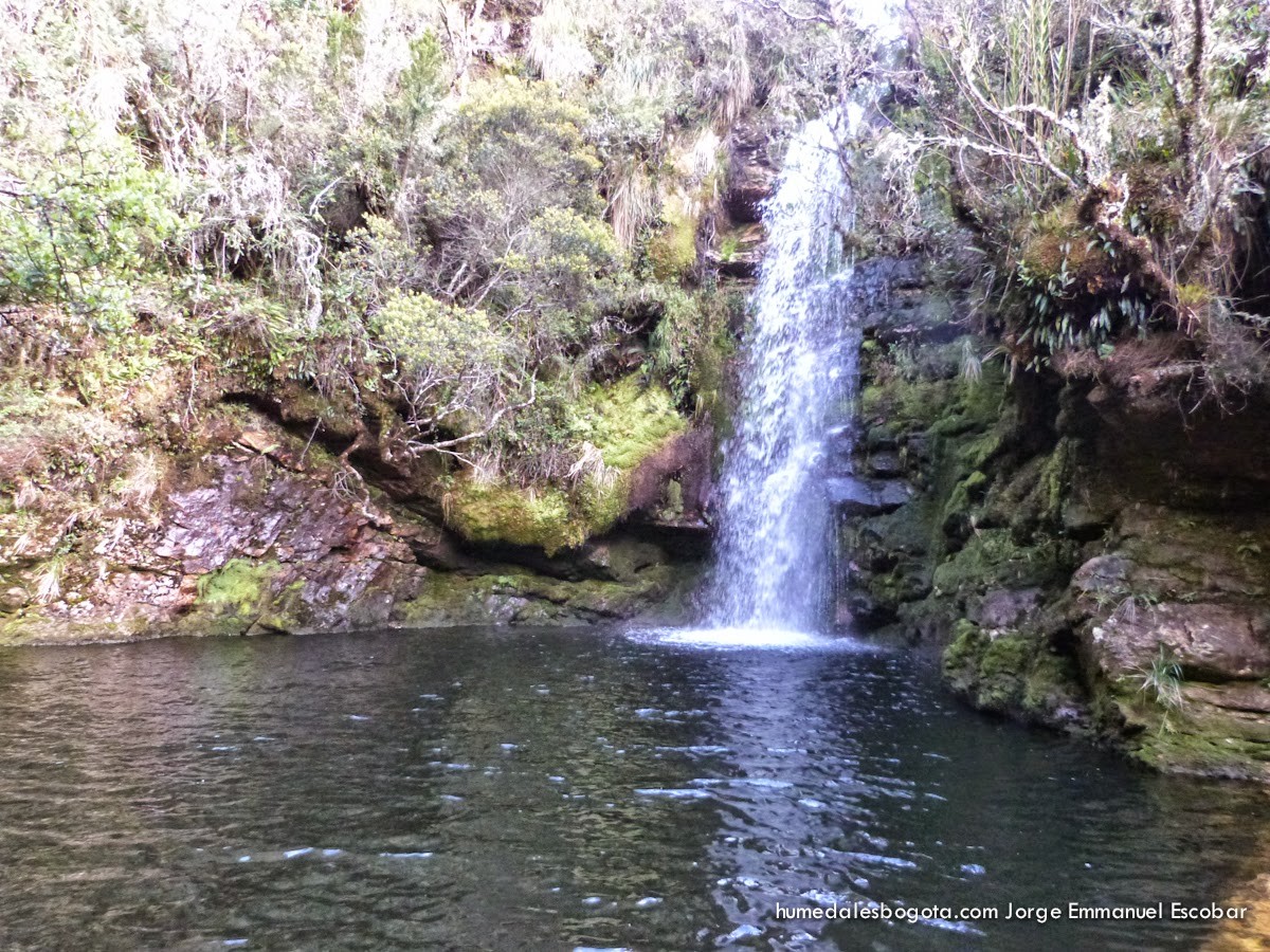 Caminata a la cascada Veraguas Caminata del mes, Próximas actividades ambientales en agosto 2023