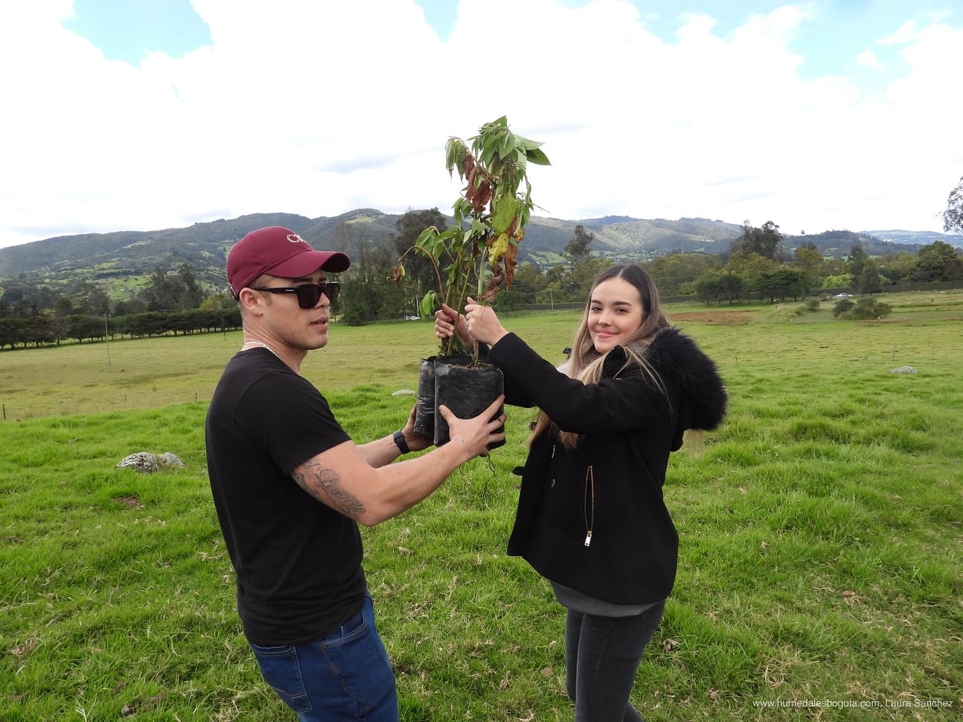 Siembra del mes marzo 2022