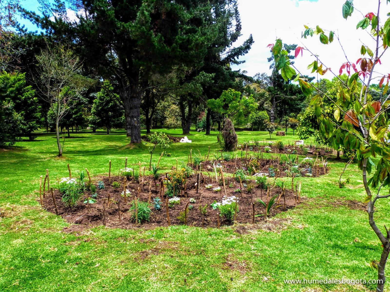 Creación de jardines funcionales Creación de jardines funcionales