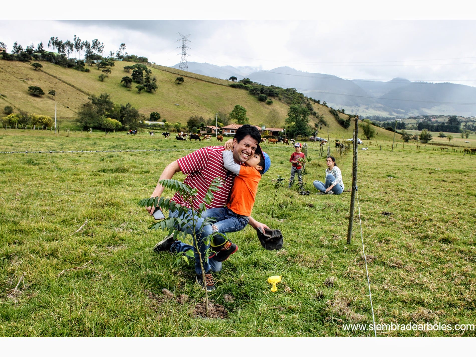 Plantación de árboles Plantación de árboles