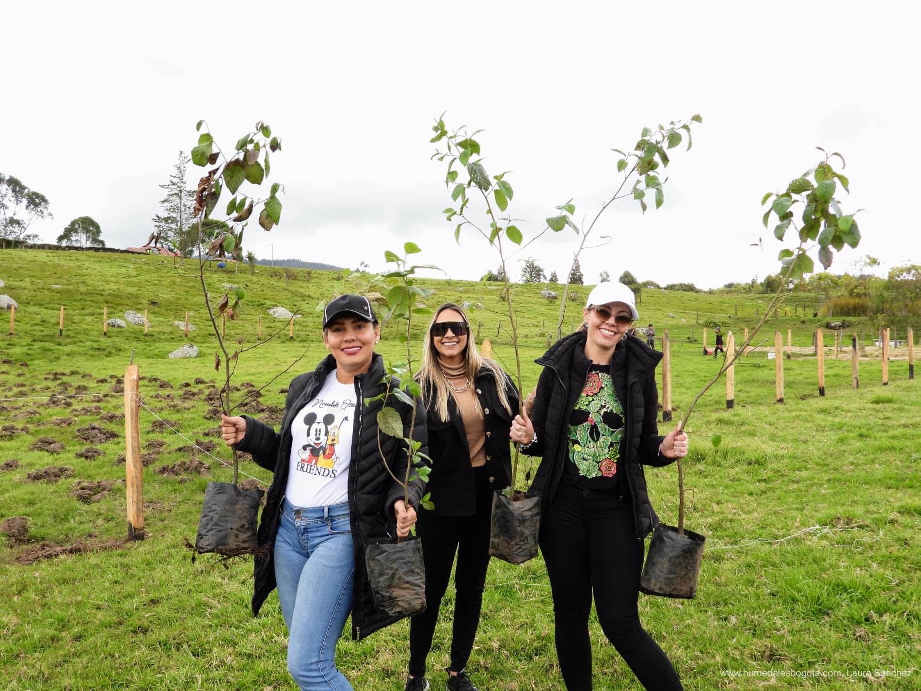 Jornada de siembra de árboles del mes Jornada de siembra de árboles del mes