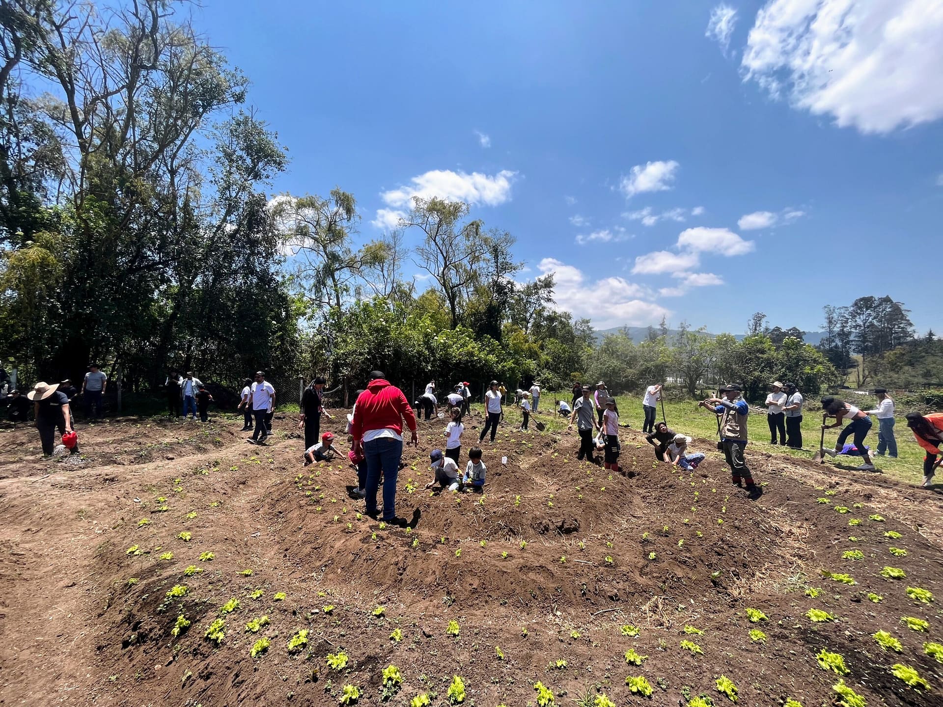 Creación de huertas Creación de huertas