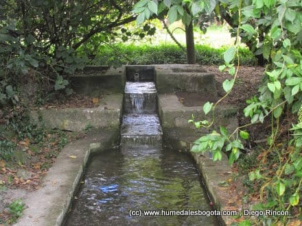 Regresó el caudal ecológico al humedal Córdoba Regresó el caudal ecológico al humedal Córdoba