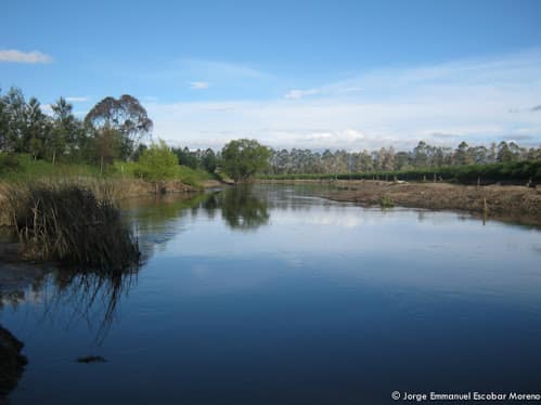 Reflexión sobre el estado actual de la cuenca del Río Bogotá Reflexión sobre el estado actual de la cuenca del Río Bogotá