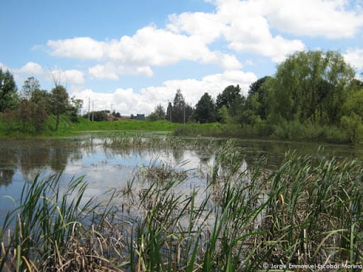 Parque Ecológico Distrital de Humedal El Salitre Parque Ecológico Distrital de Humedal El Salitre