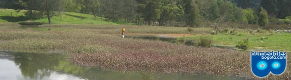 Humedal de Torca y Guaymaral Humedal de Torca y Guaymaral