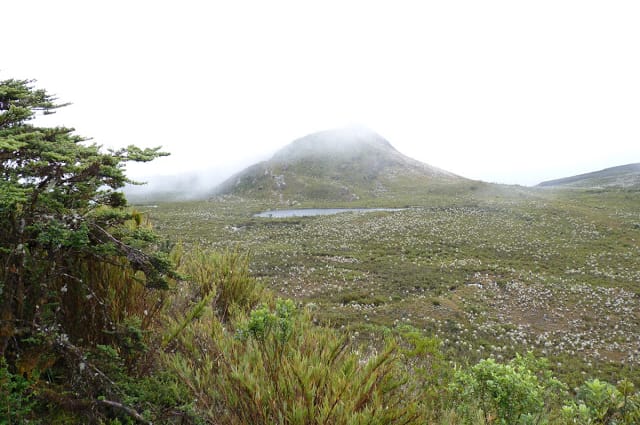Ventana al paraíso: Páramo de Chingaza Ventana al paraíso: Páramo de Chingaza