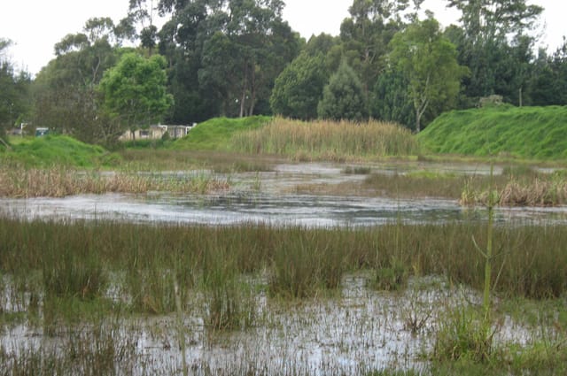 Debate en el Concejo de Bogotá por el Humedal El Salitre Debate en el Concejo de Bogotá por el Humedal El Salitre