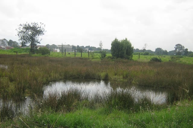 ¿El Salitre-Greco es o no un Humedal? ¿El Salitre-Greco es o no un Humedal?