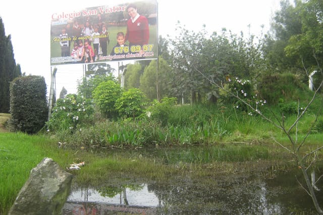 Humedal del Colegio San Viator Humedal del Colegio San Viator