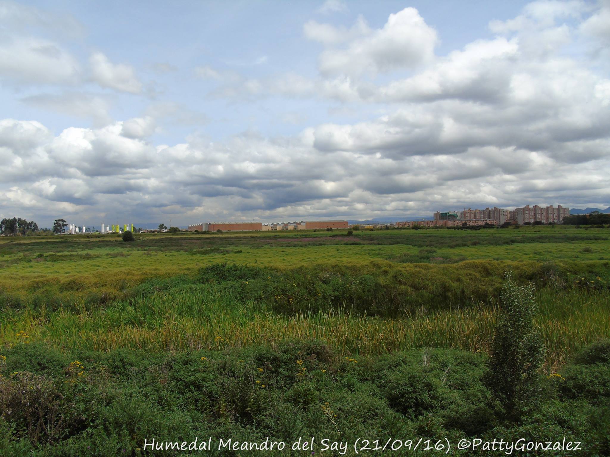 Meandro del Say seco 2016 Meandro del Say seco 2016