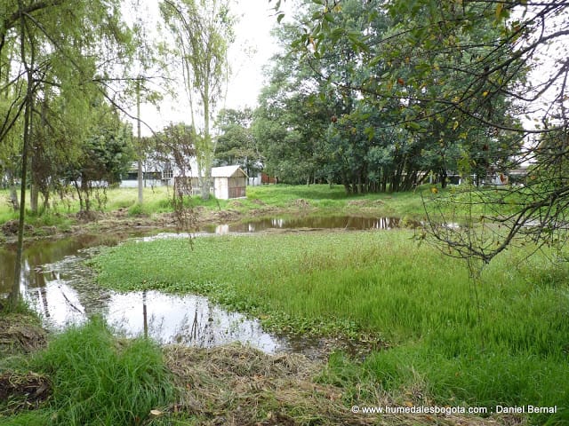 El Humedalito El Humedalito