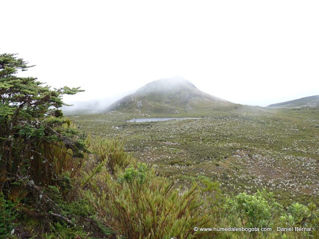 Ventana al paraíso: Páramo de Chingaza Ventana al paraíso: Páramo de Chingaza