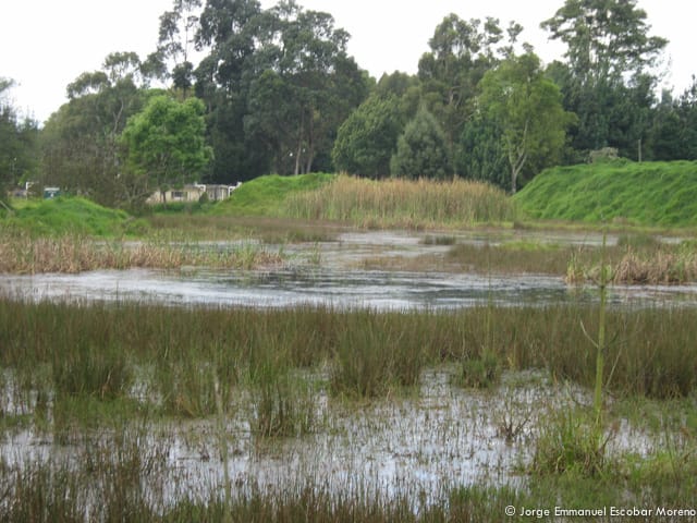Debate en el Concejo de Bogotá por el Humedal El Salitre Debate en el Concejo de Bogotá por el Humedal El Salitre