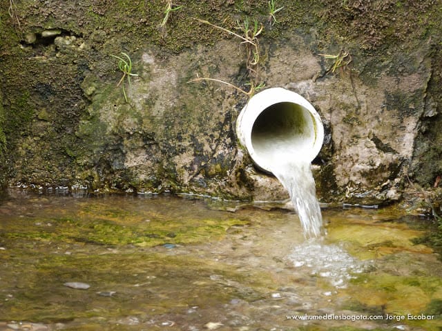 El caudal ecológico del Humedal Córdoba El caudal ecológico del Humedal Córdoba