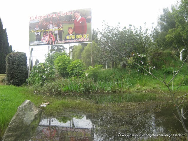 Humedal del Colegio San Viator Humedal del Colegio San Viator
