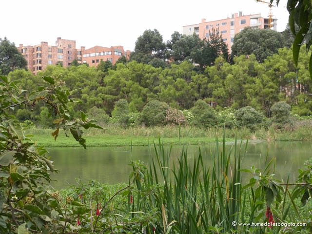 Nuevas administraciones para los Humedales de Bogotá Nuevas administraciones para los Humedales de Bogotá
