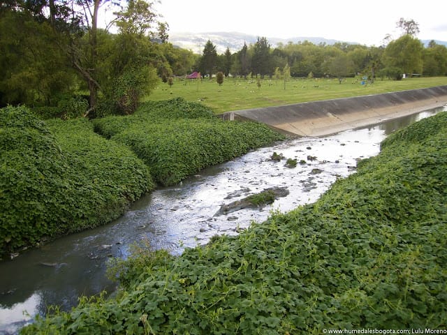 Cementerios y humedales Cementerios y humedales