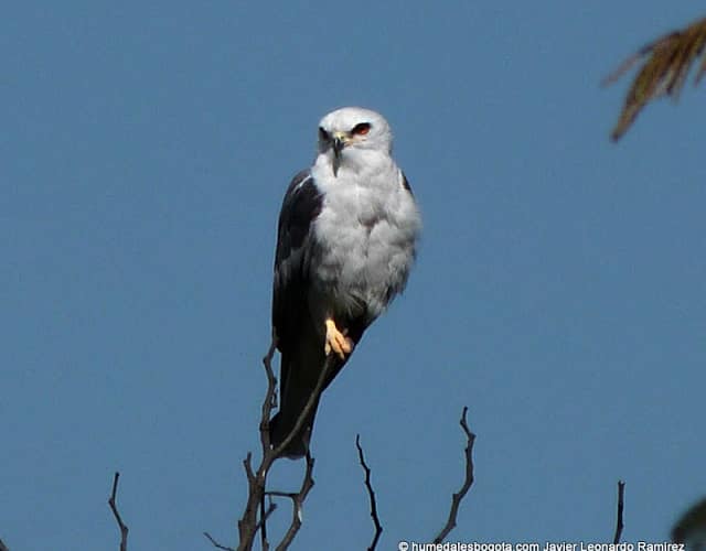 Balance en imágenes del mes de los humedales 2012 Balance en imágenes del mes de los humedales 2012