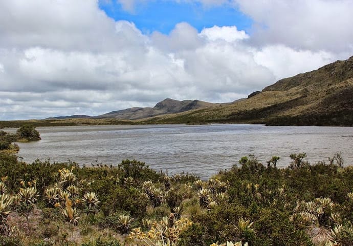 Somos páramo de Guerrero Somos páramo de Guerrero