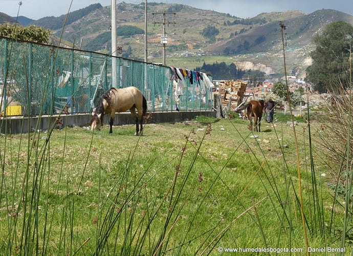 El deterioro actual de nuestros humedales, ¿una sorpresa? El deterioro actual de nuestros humedales, ¿una sorpresa?
