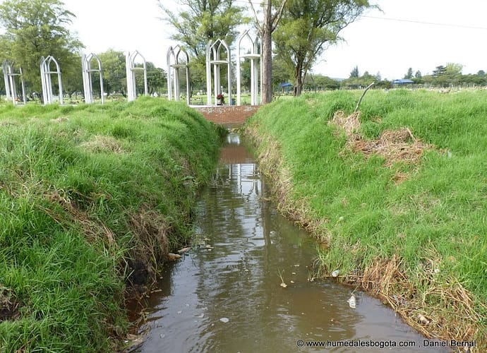 La inocente contaminación de los muertos La inocente contaminación de los muertos