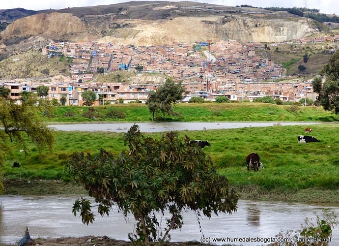 Implicaciones ambientales de la Suspensión del POT Implicaciones ambientales de la Suspensión del POT