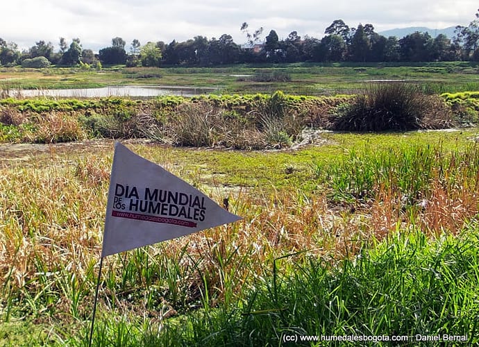 ¡Feliz día de los humedales! ¡Feliz día de los humedales!
