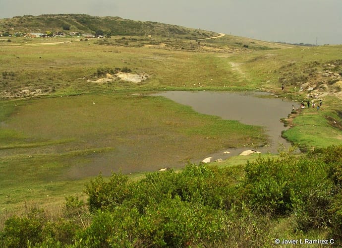 Humedal Laguna Encantada, el secreto de Ciudad Bolívar Humedal Laguna Encantada, el secreto de Ciudad Bolívar