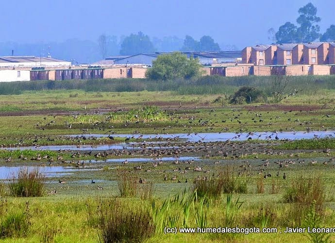Humedales en el Plan de Desarrollo. Ideas de participación ciudadana. Humedales en el Plan de Desarrollo. Ideas de participación ciudadana.