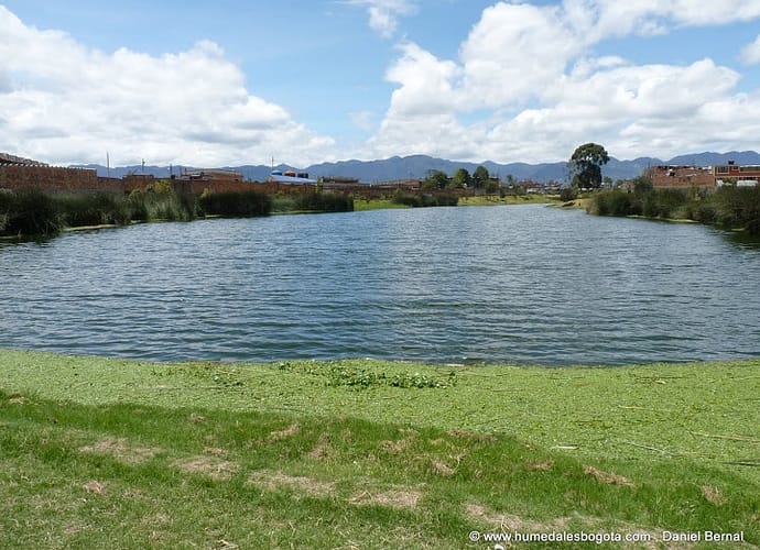 Las mujeres del agua Las mujeres del agua