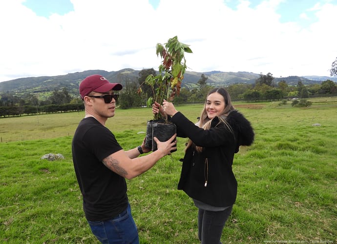 Siembra de árboles en abril, celebrando el día del árbol Siembra de árboles en abril, celebrando el día del árbol