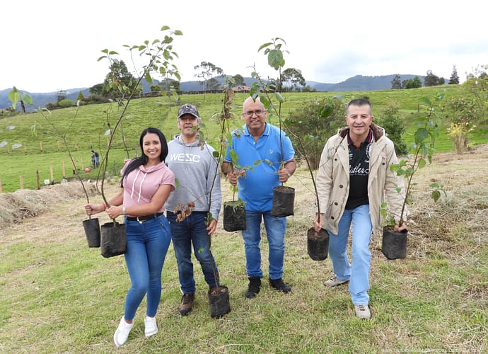 Siembra de árboles en el mes de mayo Siembra de árboles en el mes de mayo