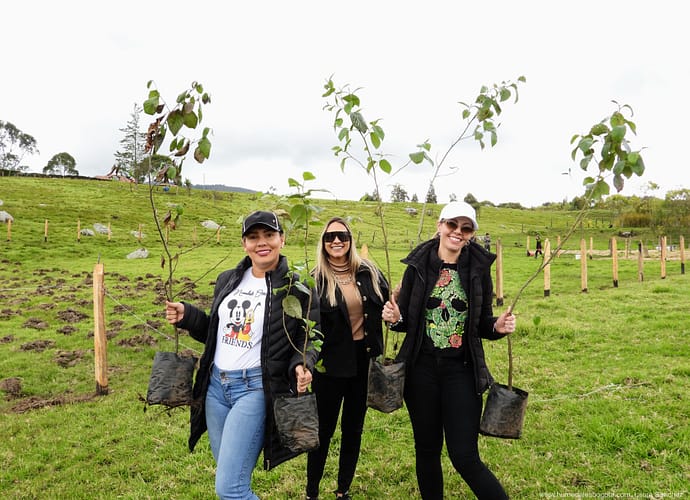 Jornada de siembra de árboles en julio de 2025 Jornada de siembra de árboles en julio de 2025