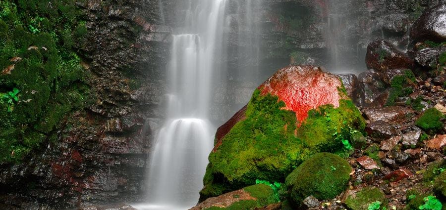 Actividades para el mes de marzo Actividades para el mes de marzo