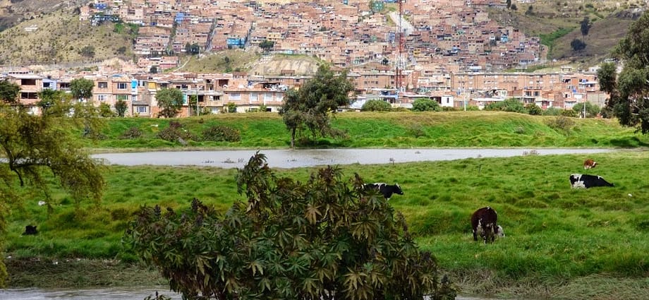 Implicaciones ambientales de la Suspensión del POT Implicaciones ambientales de la Suspensión del POT