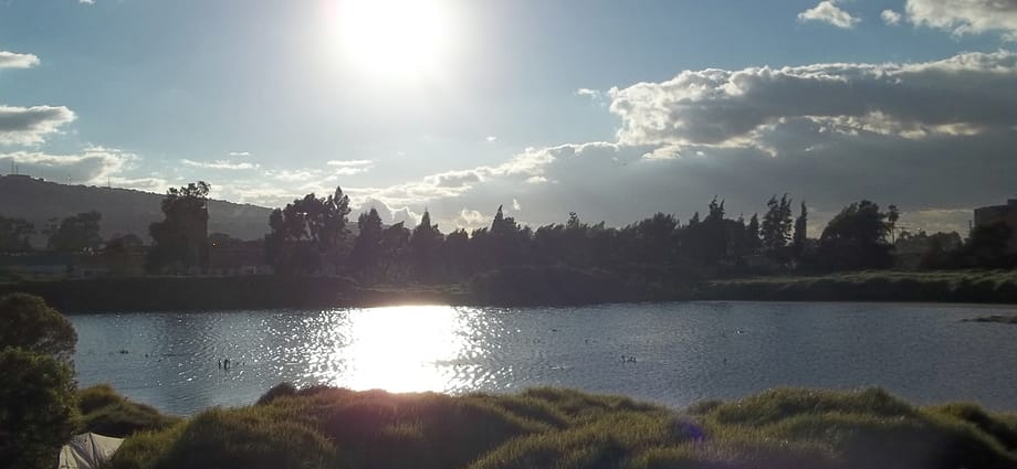 Recuperando el Humedal La Libélula Recuperando el Humedal La Libélula