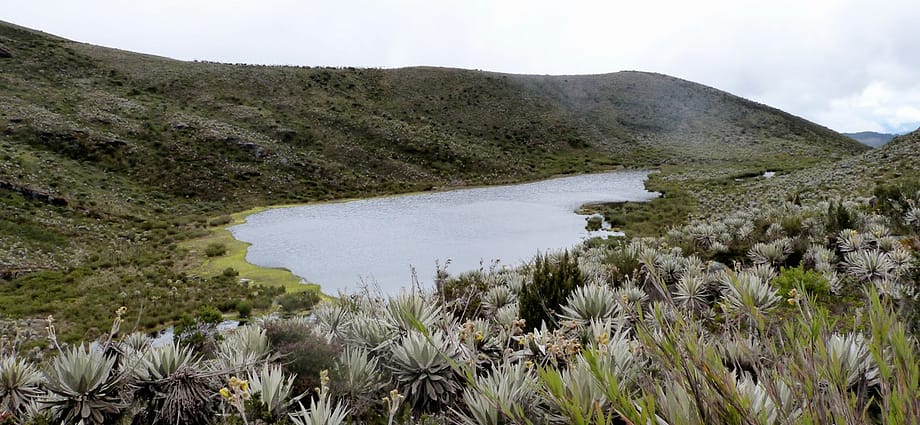 Páramos cerca a Bogotá Páramos cerca a Bogotá