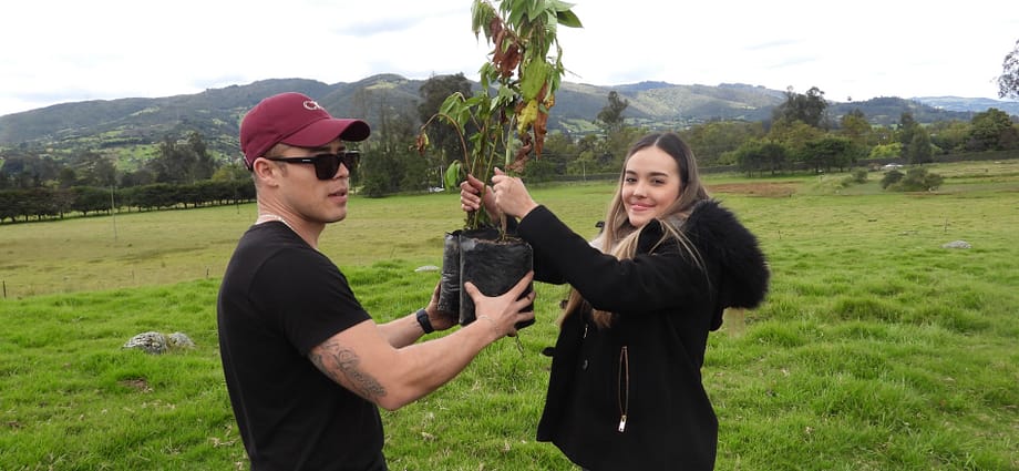 Siembra de árboles en abril, celebrando el día del árbol Siembra de árboles en abril, celebrando el día del árbol