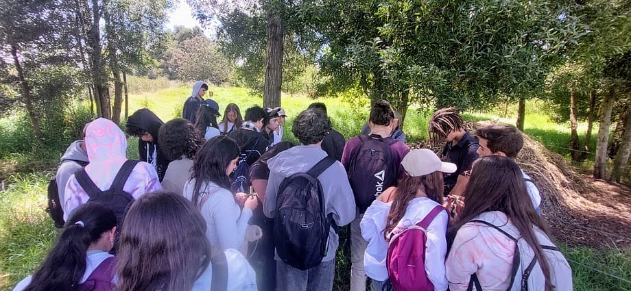 Nueva convocatoria para Servicio Social Estudiantil 2025 Nueva convocatoria para Servicio Social Estudiantil 2025