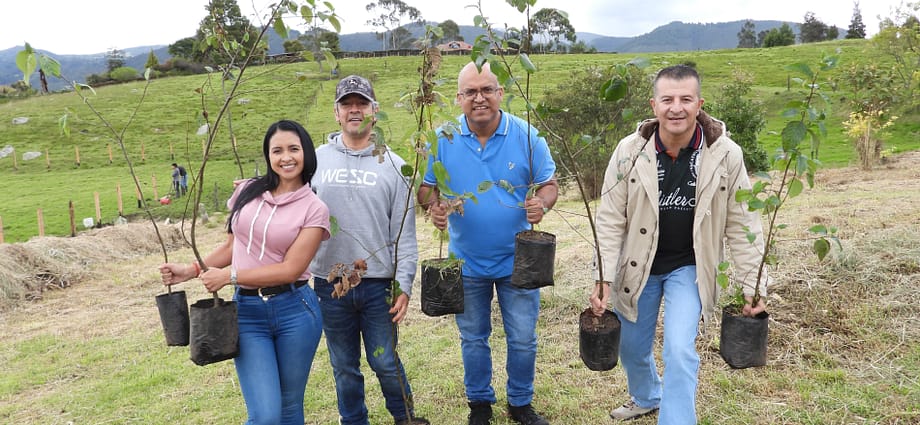 Siembra de árboles en el mes de mayo Siembra de árboles en el mes de mayo