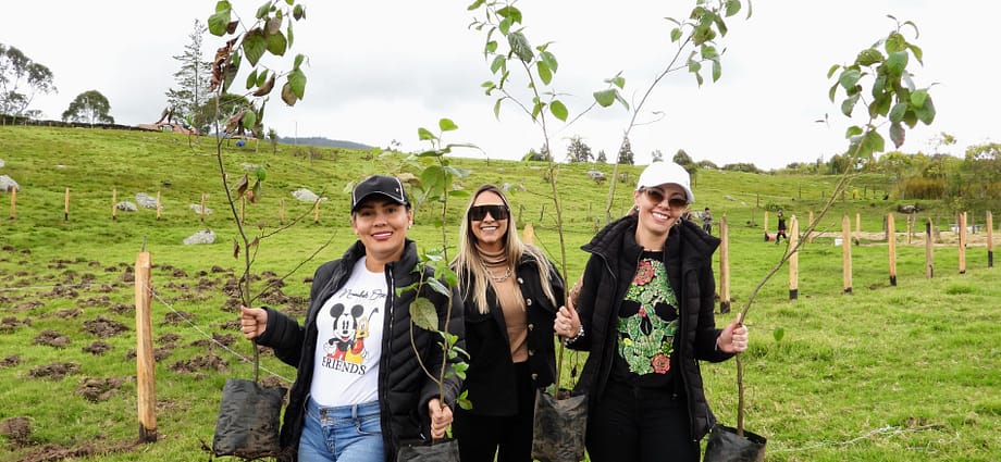 Jornada de siembra de árboles en julio de 2025 Jornada de siembra de árboles en julio de 2025