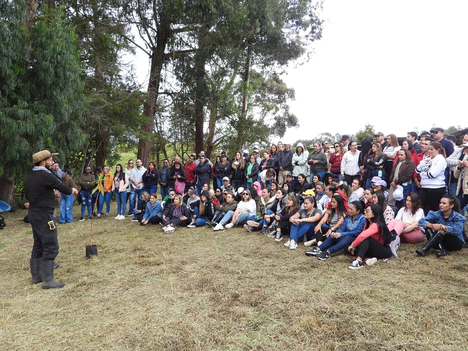 Plantación de árboles Siembra del mes de mayo