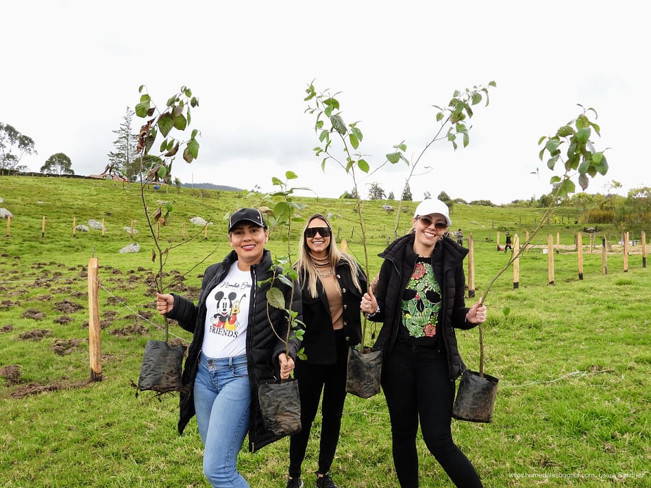 Jornada de siembra de árboles el 28 de julio en La Calera, Cundinamarca