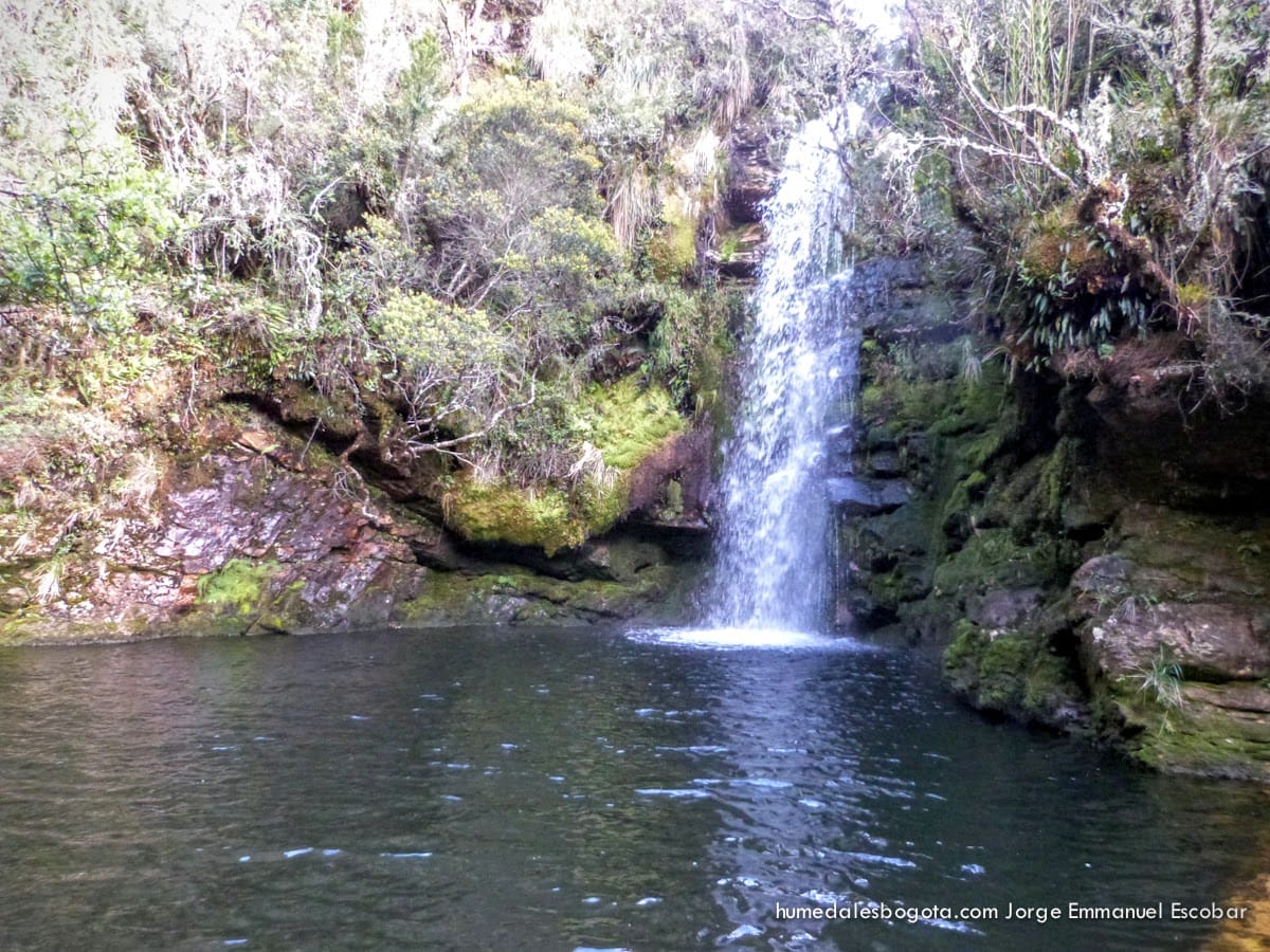 Caminata al páramo de Guacheneque