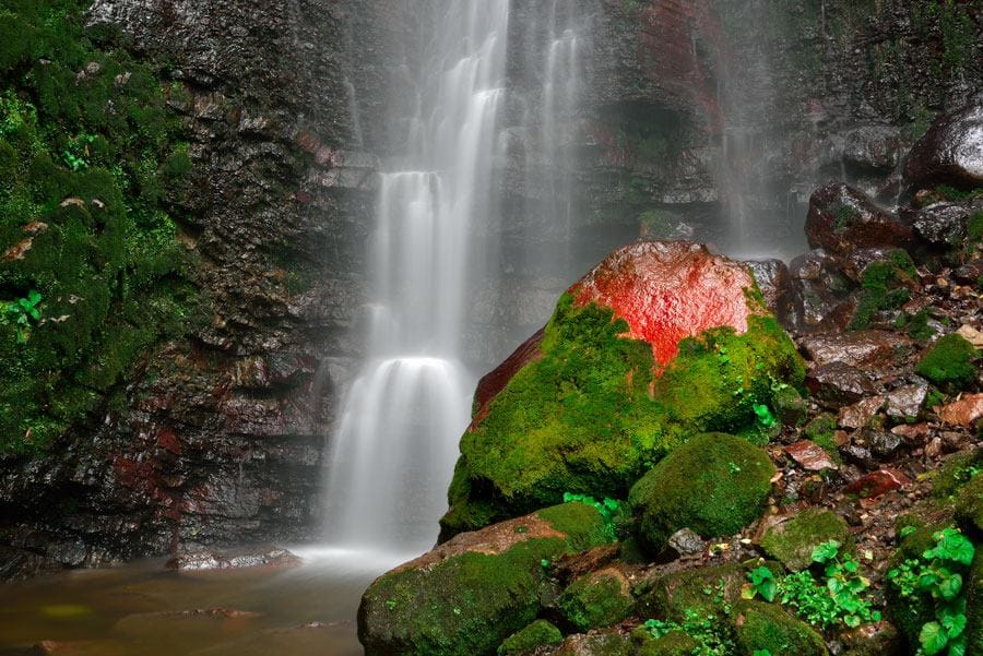 Caminata al páramo de Sumapaz